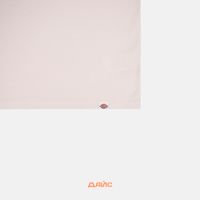  Футболка мужская Dickies High Flying Workwear артикул:DK0A863AC581 - купить в магазине Дайс