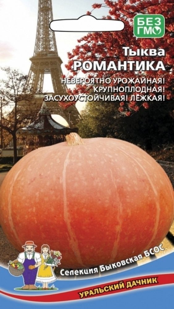 Тыква &quot;Романтика&quot; 6шт, Россия.