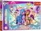 Puzzle Shiny Ponies