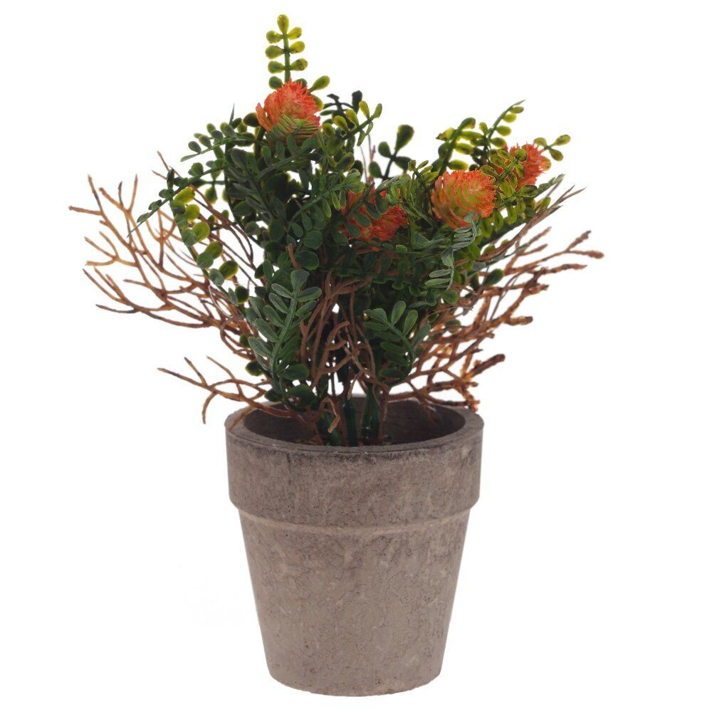 GAEM Цветочная композиция, L9 W9 H18 см, 5в.