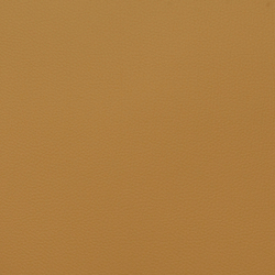 Искусственная кожа Grifon (Грифон) 05