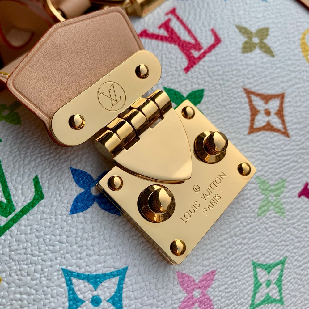 Louis Vuitton Speedy Trunk 20