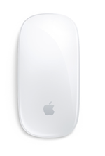 Мышь беспроводная Apple Magic Mouse 2024 USB-C (MXK53) белый