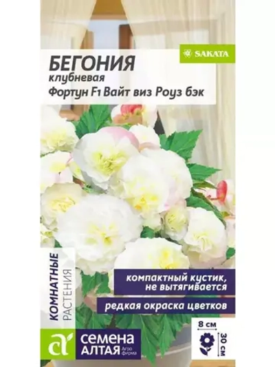 Семена Бегония Фортун F1 Вайт виз Роуз