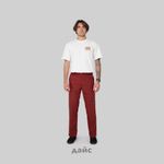  Брюки мужские Dickies Skateboarding Double Knee Pants артикул:WPSK96IK9 - купить в магазине Дайс