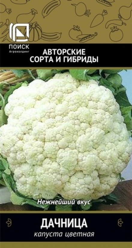 капуста Дачница