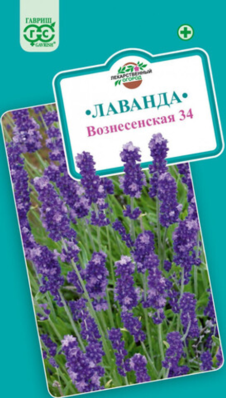 Лаванда Вознесенская 34