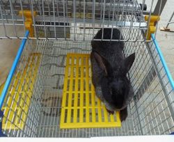 Трапик для кроликов 396х240мм