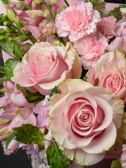 Розовая мечта *