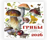 Календарь Грибы 2026 год
