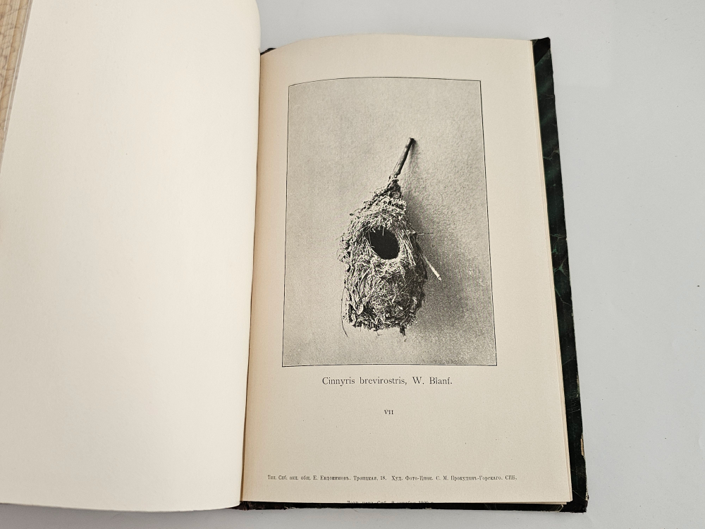 "Птицы Восточной Персии". Н.А. Зарудный. 1903г.