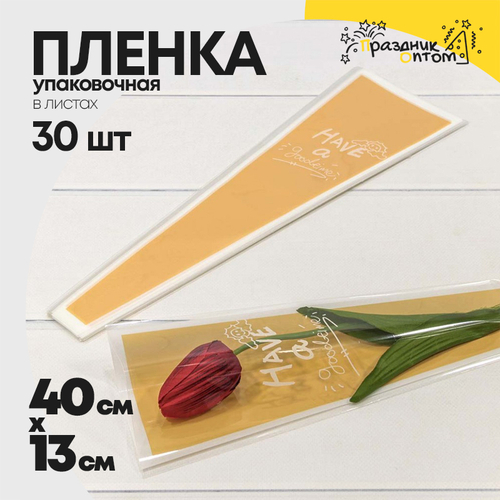 Пленка В листах 30 шт 12.5 х 4 х 40 см "Конус для цветов" (Оранжевый)