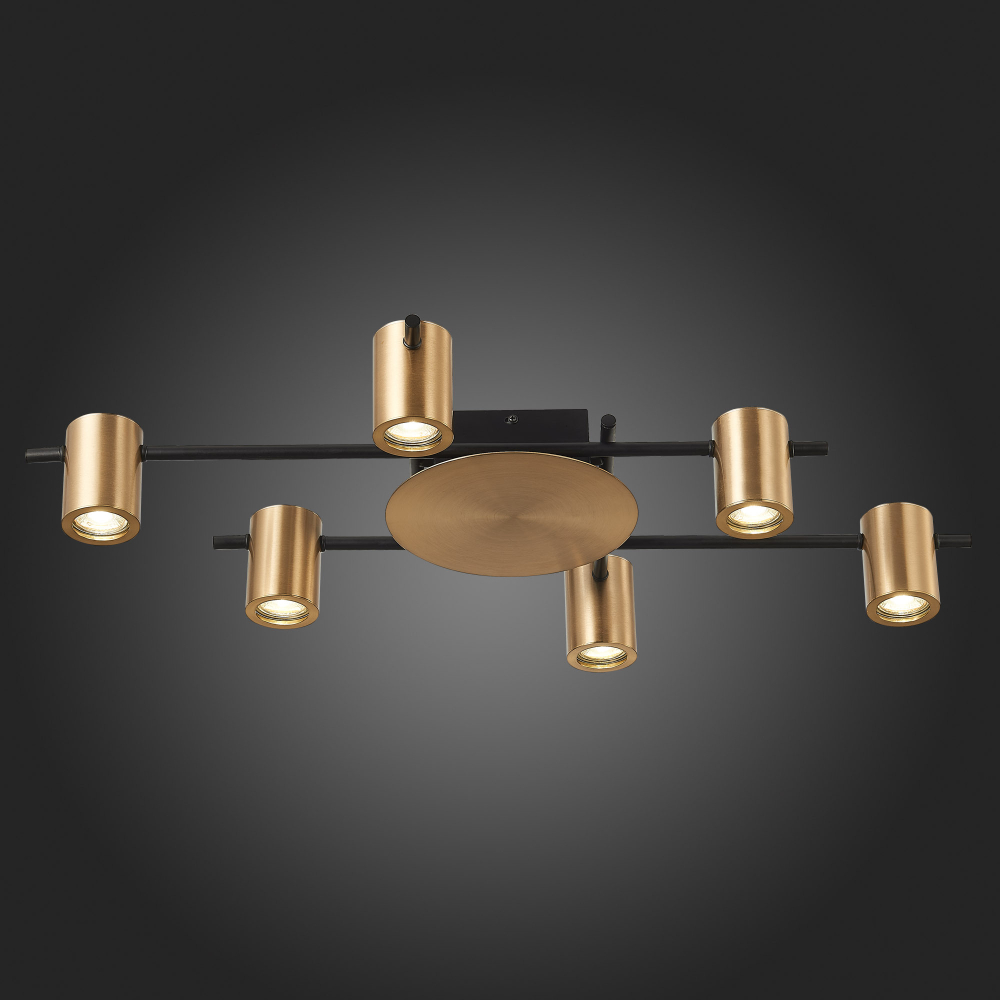 Светильник потолочный ST Luce Veroli SL1207.402.06