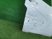 Дверь передняя правая Renault Master 3 (2010-н.в.)