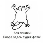 Дверь-купе ARISTO SMART, зеркало, профиль шампань матовая