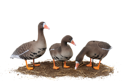 Белолобый гусь Softplast 3D мод. B10S-3D