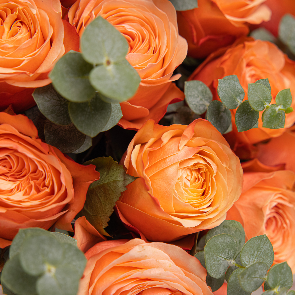 Сладкий ноябрь