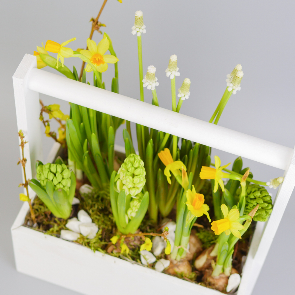 Композиция с первоцветами Белая коробка