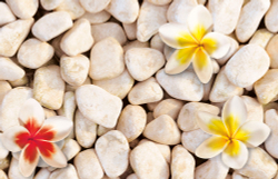 Коллекция 3D эффекты