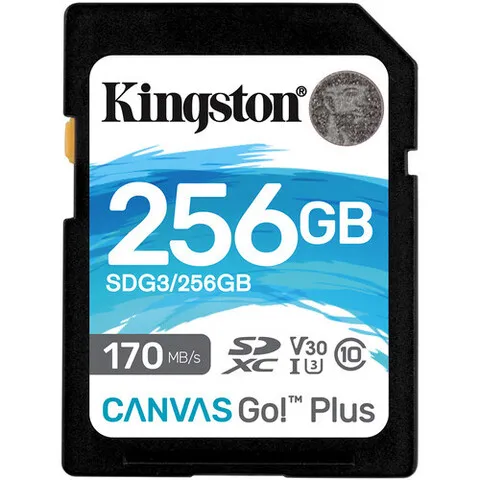 Kingston 256GB Canvas Go Plus UHS-I