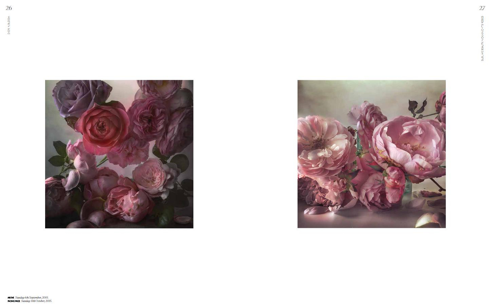 Dior in Bloom