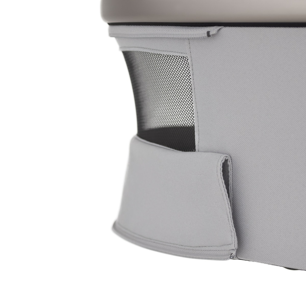 Коляска 2 в 1 ANEX Flo Frossy