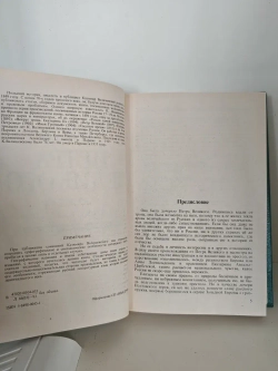 Дочь Петра Великого