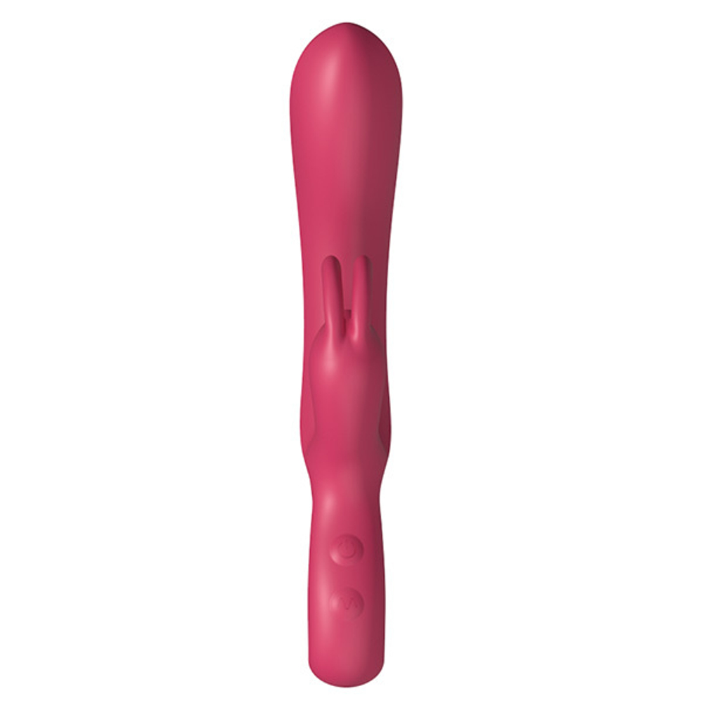 Красный силиконовый вибратор-кролик Secwell Rabbit Sex Toy SW3021R