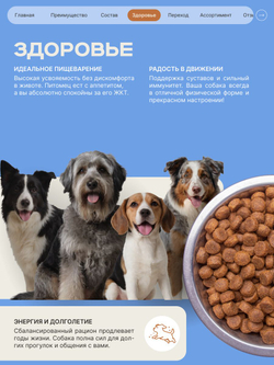 Корм сухой для пожилых собак породы Вельш-корги пемброк старше 5 лет, с индейкой, 3 кг, QUATTRO