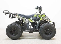 Электроквадроцикл Green Camel Гоби K51 (36V 800W R7 Цепь) ножной тормоз