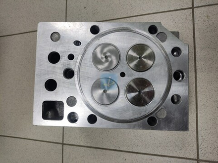 Головка цилиндров с клапанами 840.1003010-20