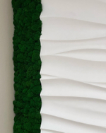 Вертикальное озеленение стабилизированным мхом и растениями офиса компании «Оазис-Сити»