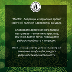 MANTRA индийские благовония-палочки (Shiva Special)