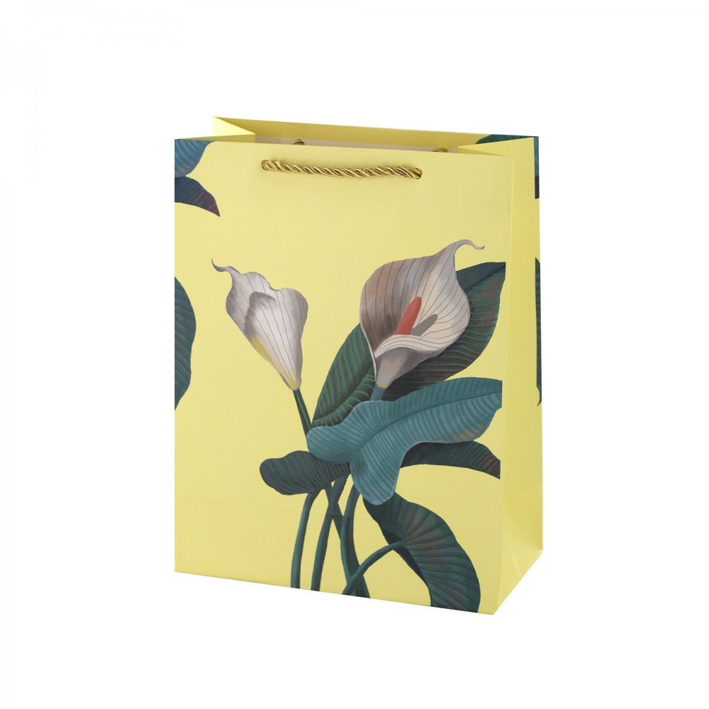 Пакет подарочный бумажный Alingar, (М) 18х24х8,5 см, вертикальный, "Весенние цветы", мат. ламинация, ассорти