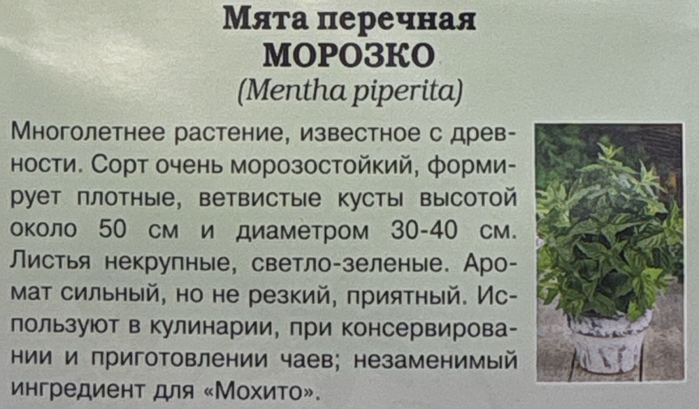 Мята Морозко 0,03 г СМЗ-252