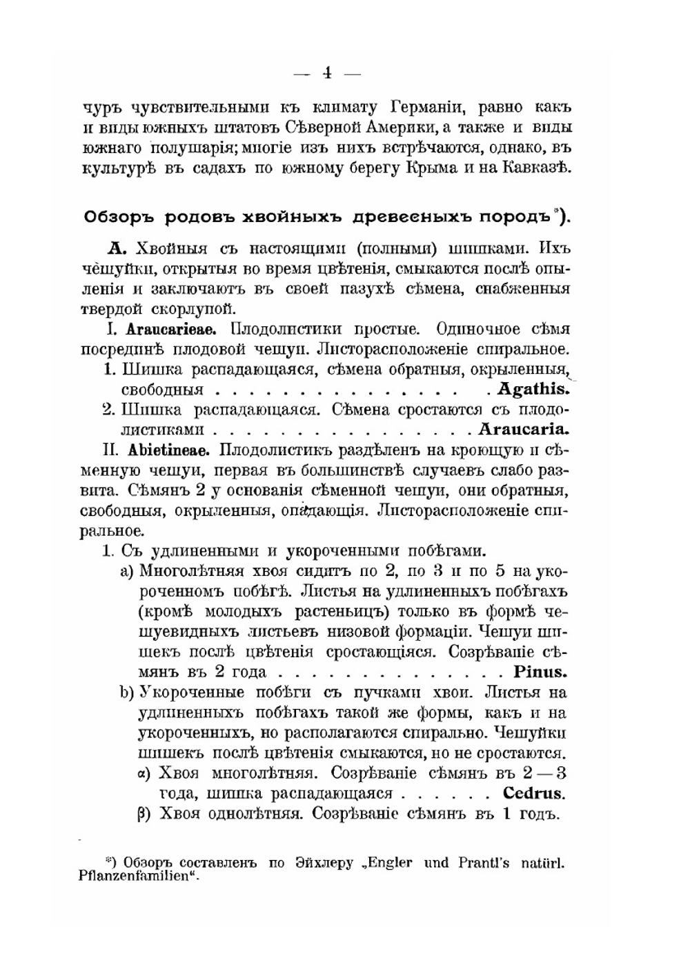 Хвойные древесные породы | К. Тюбеф