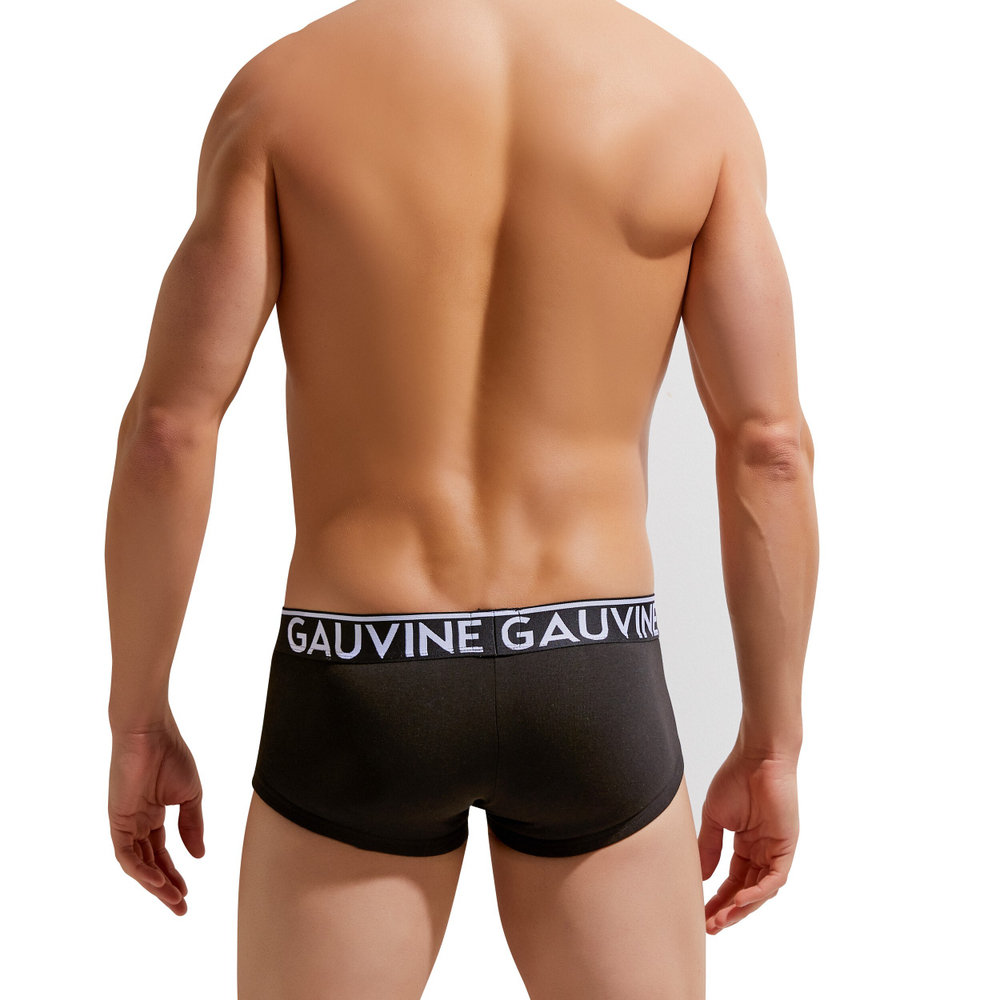 Мужские трусы хипсы черные GAUVINE 3005