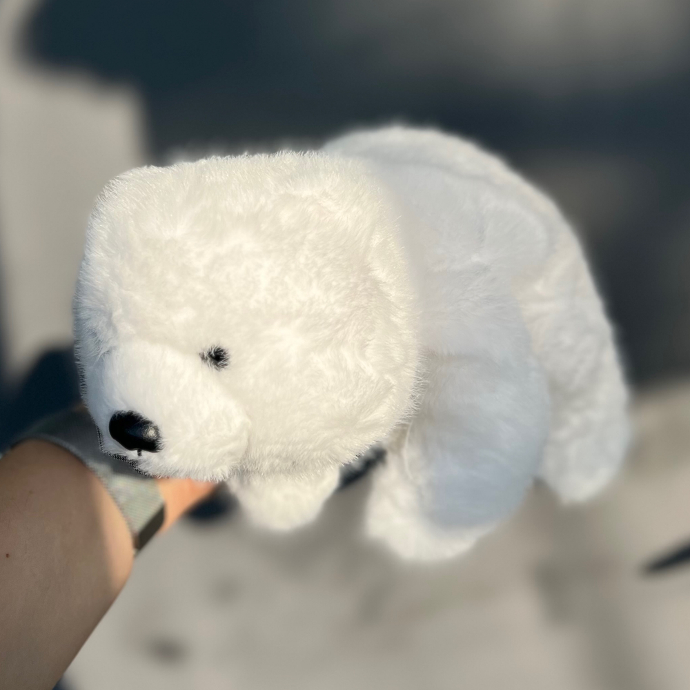 Мишка северный