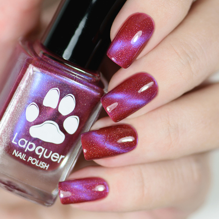 Betta splendens (Сиамский петушок)