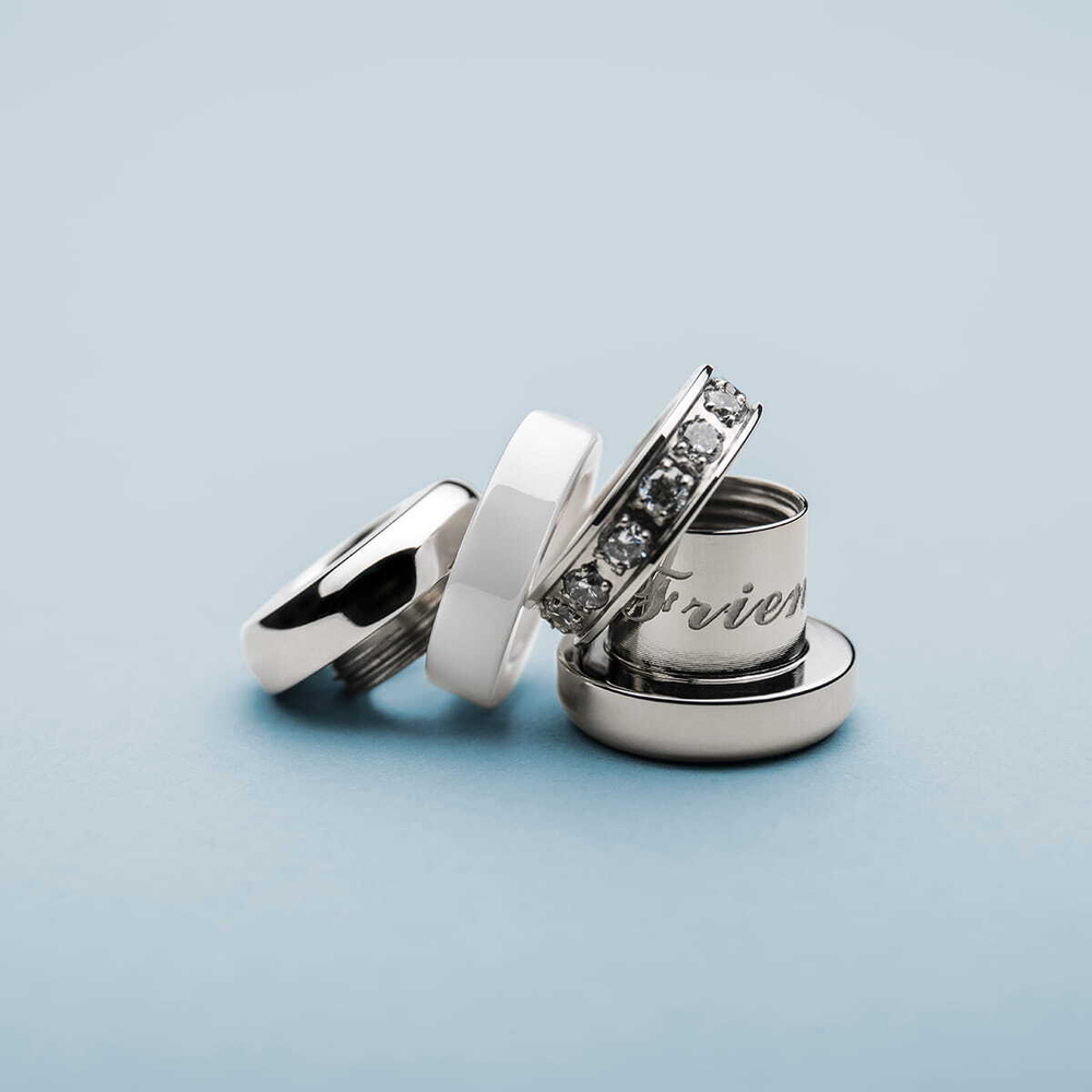 Шарм Bering Arctic Symphony BestFriend-1 серебро