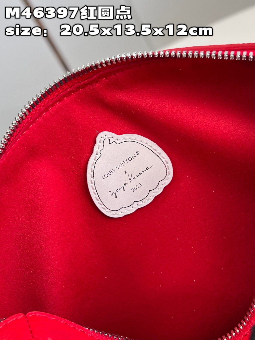 Louis Vuitton Speedy 20