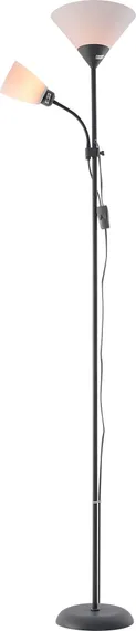 1571-2 GREY (1/6) Торшер (RL)