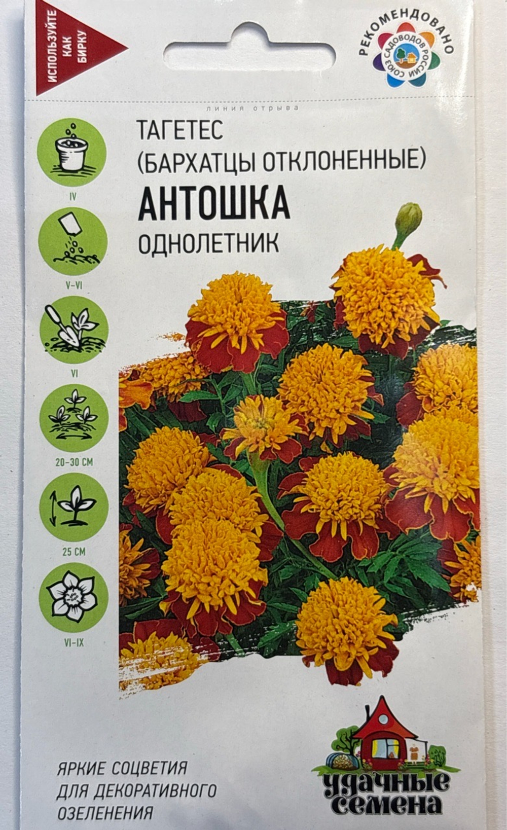 Бархатцы Антошка откл. 0,3 г Уд.с СМЦ-462