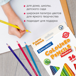 Карандаши цветные BRAUBERG PREMIUM, 36 цветов, пластиковые, трехгранные, грифель 3 мм, 181664