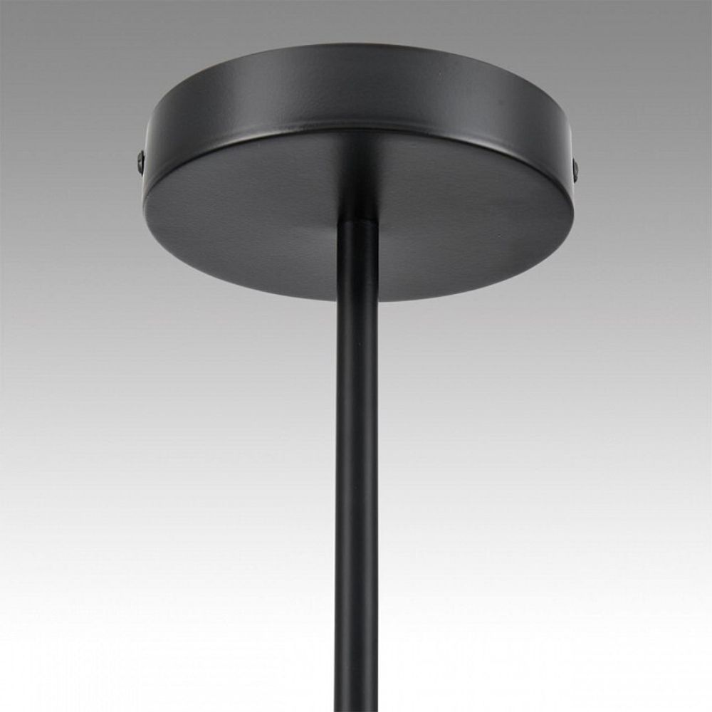 Люстра на штанге Lumion Torina 8117/18