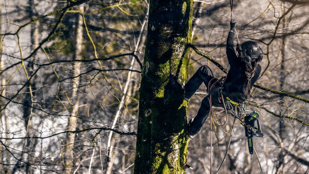 Аккумуляторная цепная пила Greenworks GD40TCS, 2003807,40v, 25 см, без АКБ и ЗУ