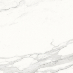 Calacatta Superb Керамогранит белый 60x60 полированный