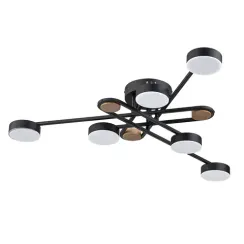 Потолочная люстра Arte Lamp TAYGETA A2455PL-6BK