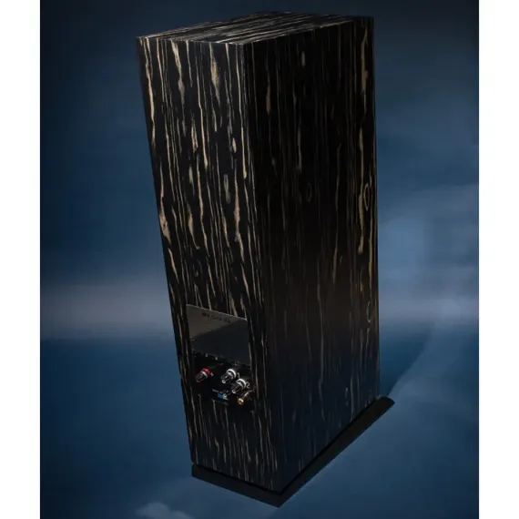 Davis Acoustics MV One Master Ebony