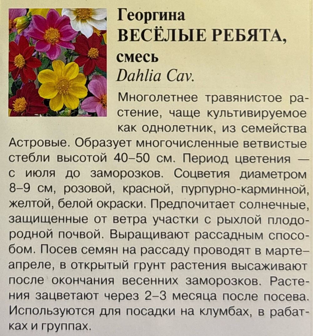 Георгина Веселые ребята, смесь 0,3 г СМЦ-264